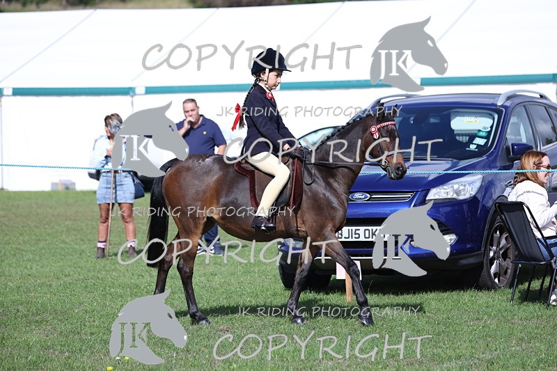 APP_3031 - Class 11 Veterans ridden