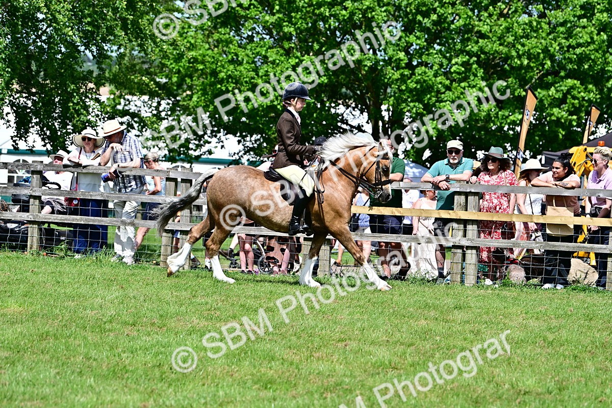 SBM_07900 - Class 61-62 - TSR  M&M Ridden Amateur of the Year
