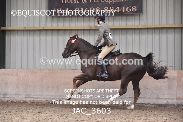 JAC_3603 - CLASS 9 BHS Scotland Riding Club Working Hunter Qualifier