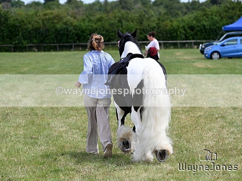 WJ7_7983 - Nancy And Churchill SORC summer show 21-06-26