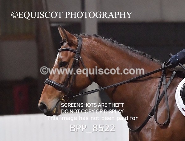 BPP_8522 - PRELIM 5 BD