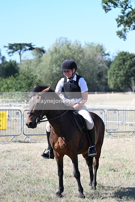 WJ7_1650 - Class 42 Most Handsome Gelding