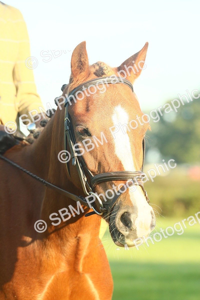 SBM_56642 - S36 - Starters Best Turnout