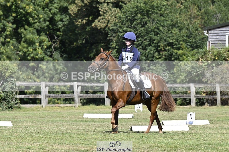 250822A-112223-22222 - DR 11.00 to 12.00