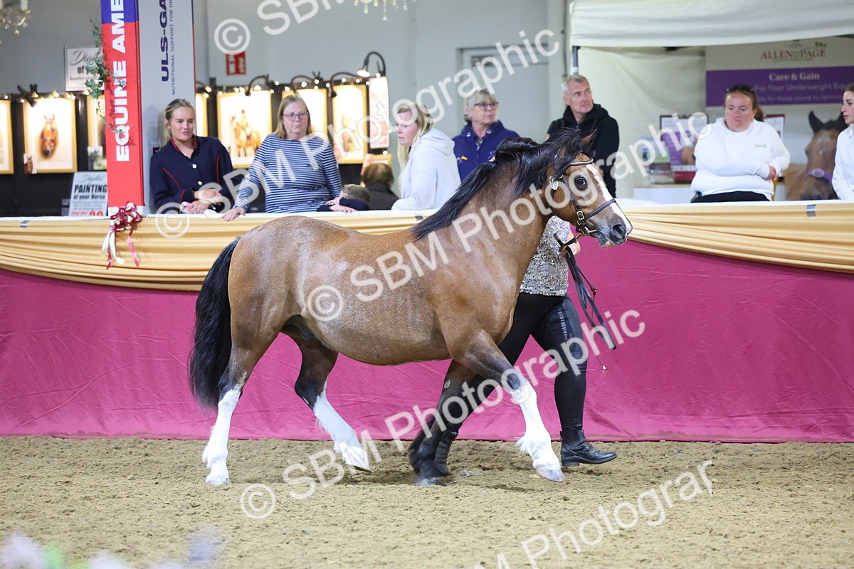 0B8A4407 - Class N M&M Champ