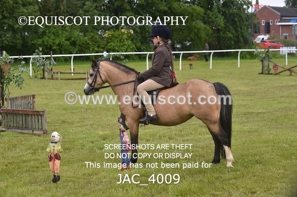 JAC_4009 - 40CM WORKING HUNTER