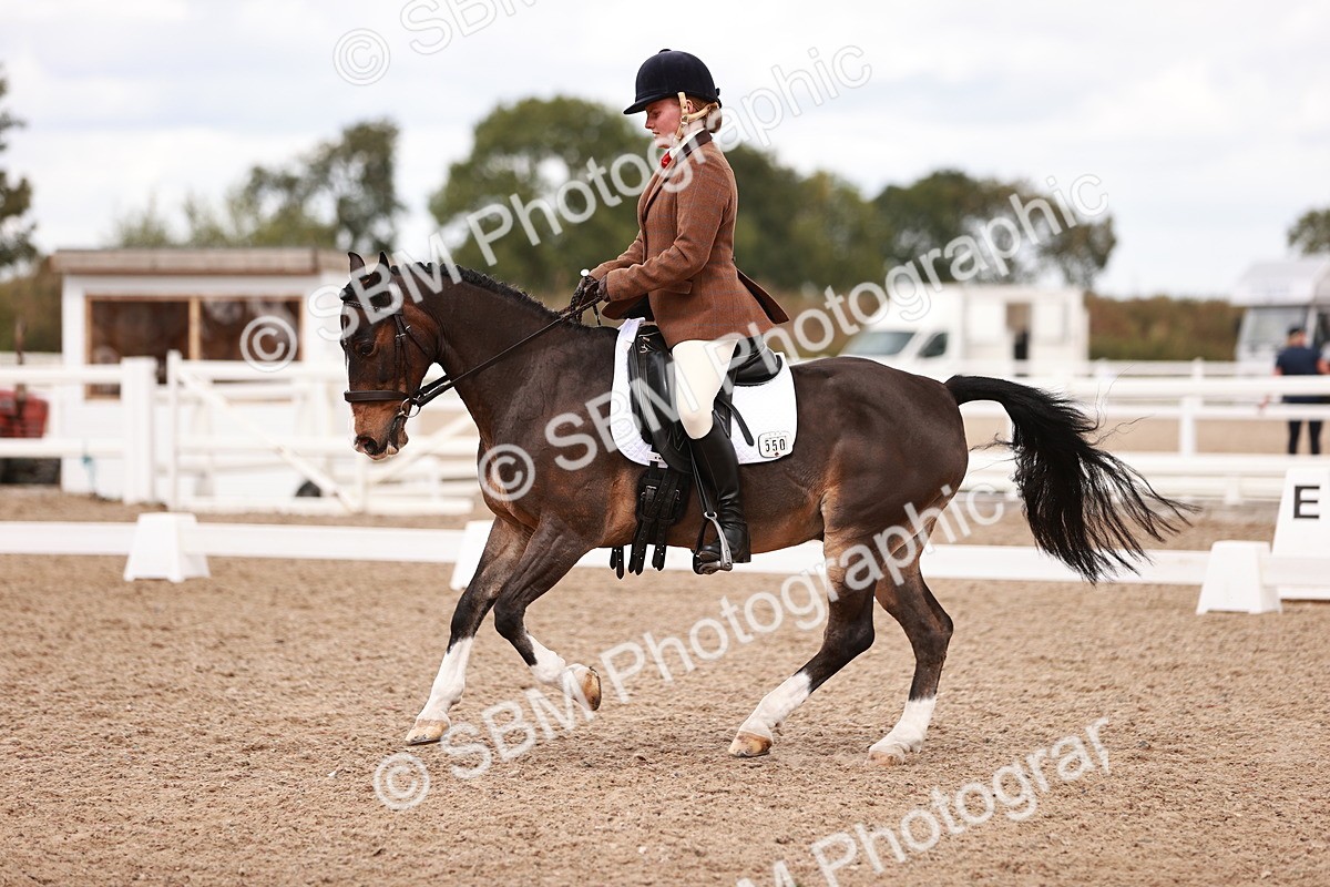 SBM_06248 - Class 37 - Novice 5