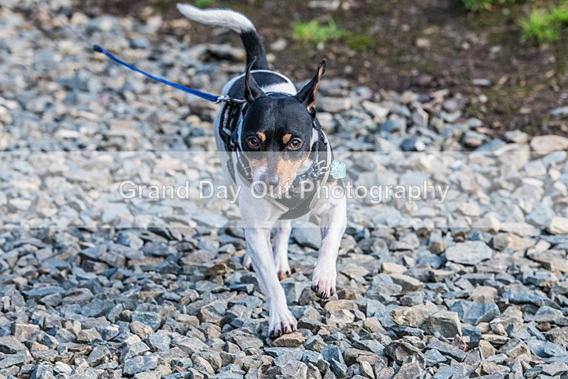 Glentress-609 - High Terrain Events Glentress 21 & 10K Trail Races Saturday 15th November 2025