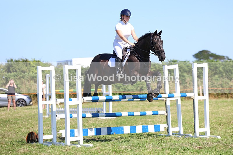 3E7A6536 - Class 13: Senior Newcomers/1.10m open