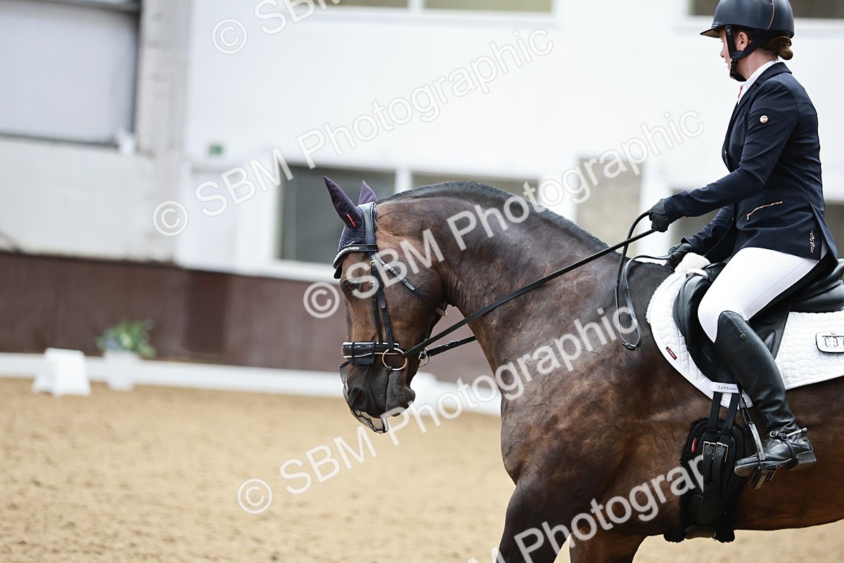 SBM_014374 - Class 7 - Ele FSM Bronze  13.24.14.04