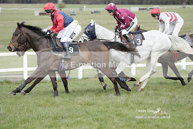 PtP 260323 0394 - New Forest Hounds Point-to-Point Larkhill 26/03/23