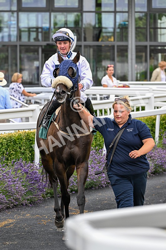 220726-Race 3-Wise Crack-9626 - Race 3 15.10pm Sky Bet For The Fans Handicap