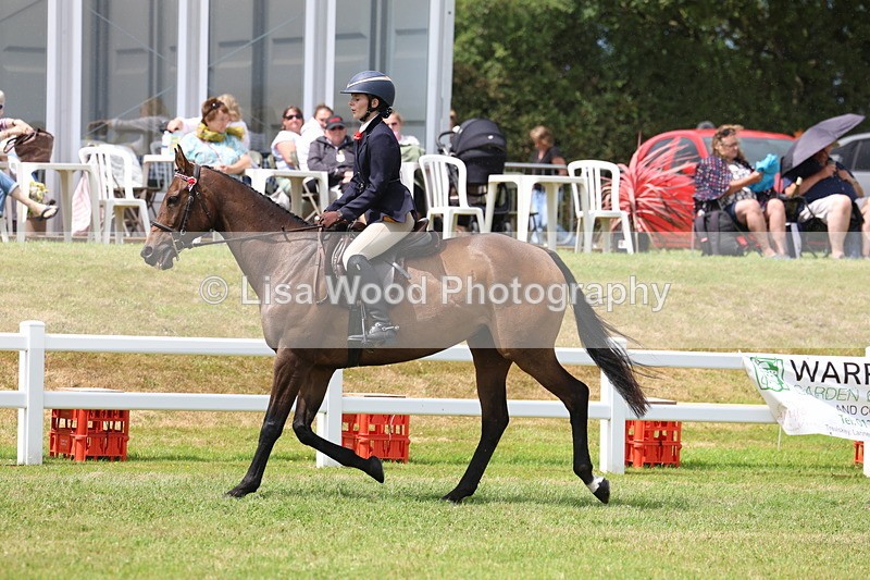 3E7A2361 - Class 11: Retraining of Racehorse