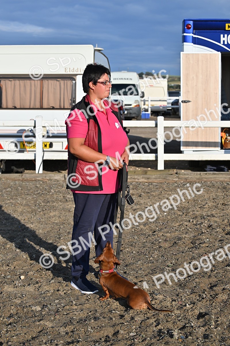 SBM_09410 - Lorry Dogs