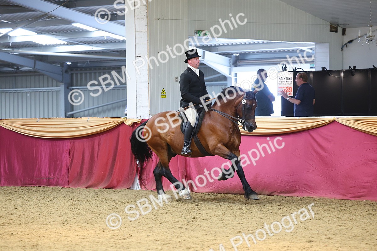 SBM_24341 - Class 906 - Supreme Final - Ridden Pre Vet