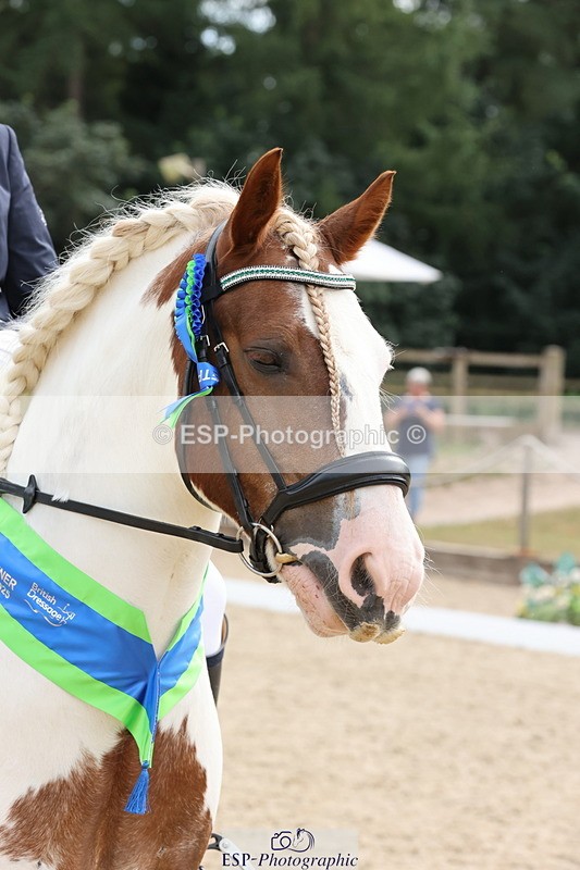 250718A-162815-02830 - Fri Presentations