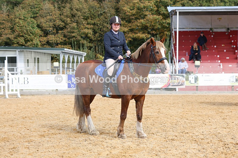 3E7A3711 - Class 5: 60cm Senior