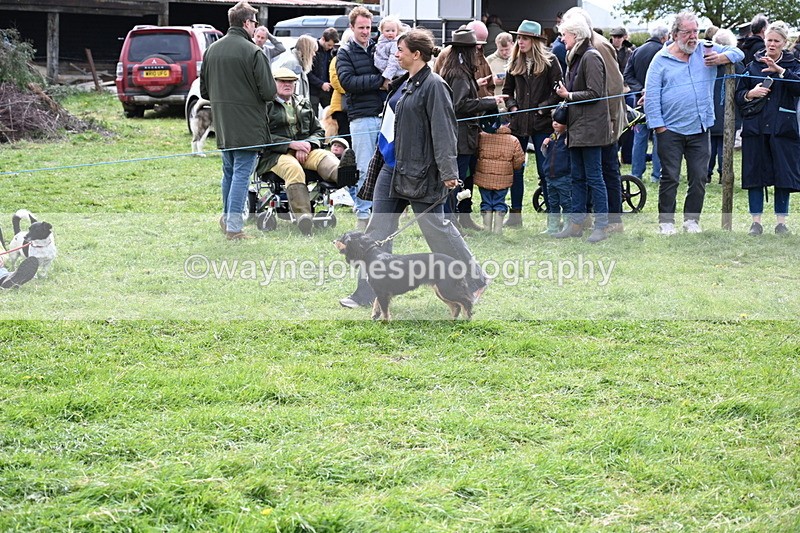 WJ6_8285 - Class 4 Prettiest Bitch