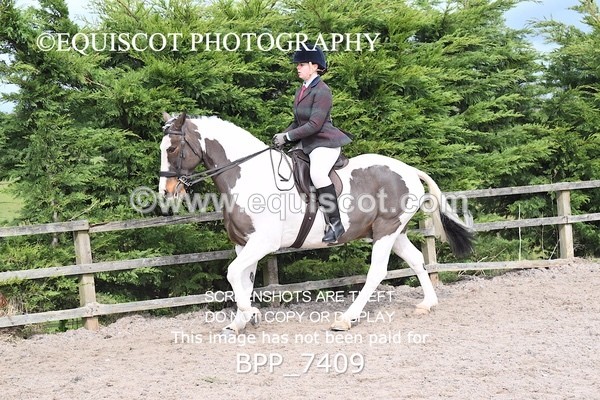 BPP_7409 - RING 1  (RIDDEN HORSES / IN HAND / VETERAN ETC)
