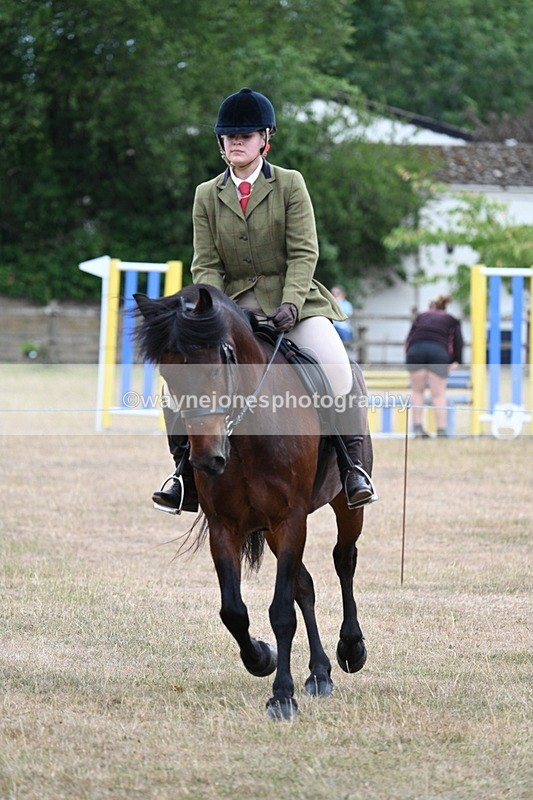WJ7_0620 - Class 6 Ridden Mountain and Moorland