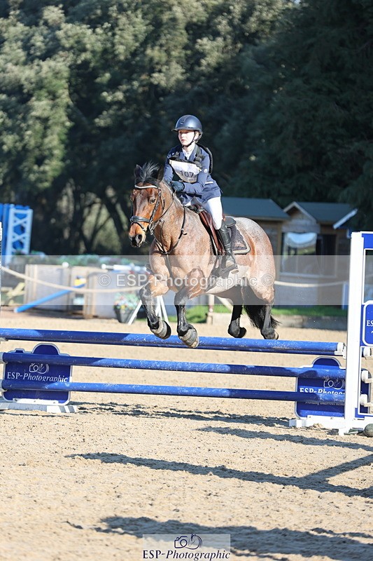 250209A-112405-00766 - 80cm 11.10 to End