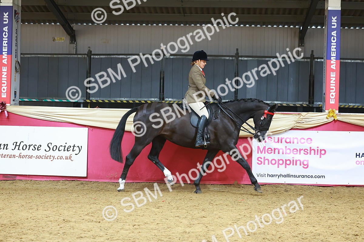 SBM_10525 - Class 103 - HOYS Veteran Qualifier - Ridden Pre Vet
