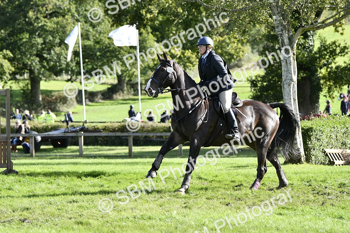 SBM_50047 - S34 - Novice & Newcomers Working Hunter