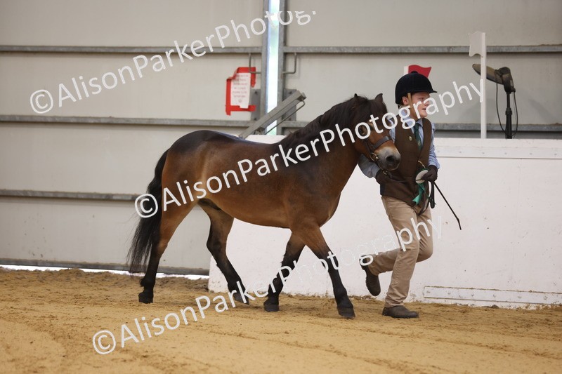 20260913-0186 - Class 121 - Young Handler 5-16