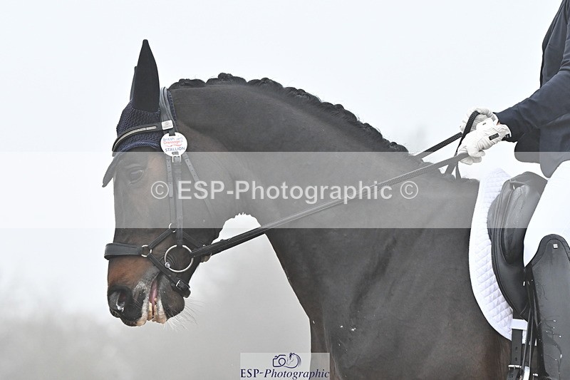 240217A-104817-01201 - 245-Hannah.Biggs-D'Isneys.Fantasia.SFS