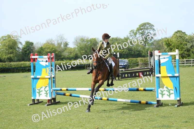 20260426-1799 - Class 14 - Novice 60cm
