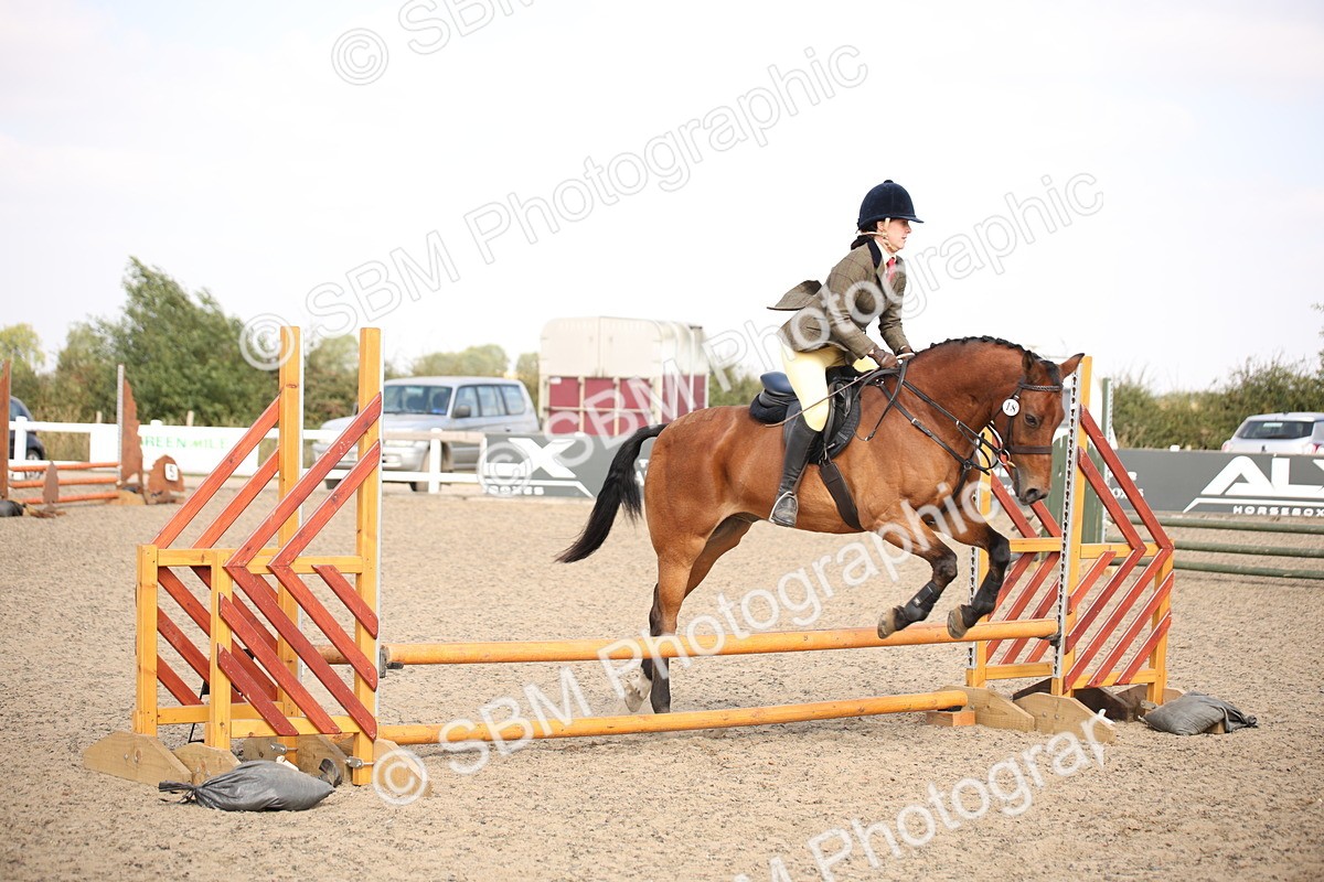 SBM_14146 - Class 407a - Working Veteran 60cm (15-19