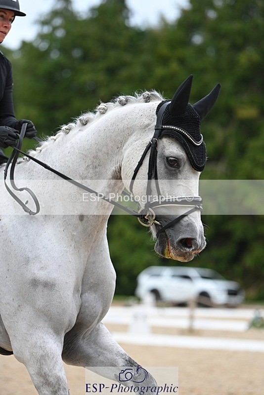 230813-174926-08752 - Cls 14 Medium Silver 16.45 to End