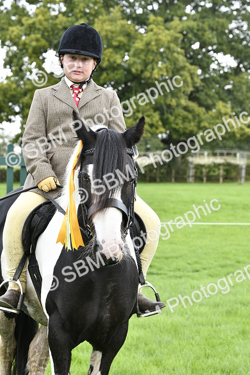 SBM_38292 - S31 - Novice & Newcomer Working Hunter Pony
