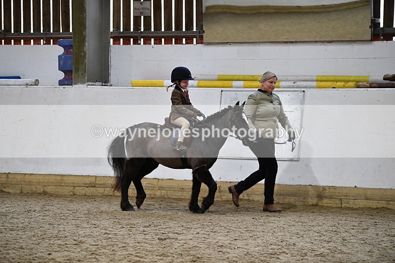 WJ5_6596 - Class 10 Childs Pony