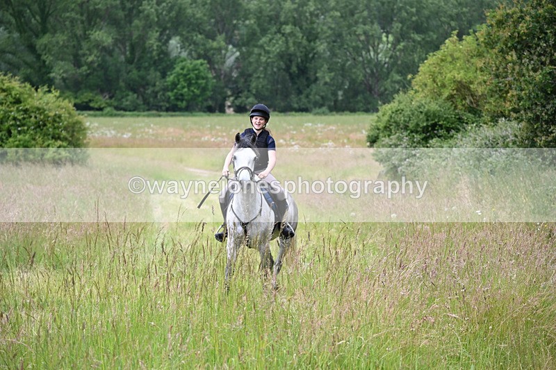 WJ6_7985 - Camera 1 Gallops