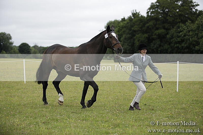 BVR160717-725 - Ring 2 BVRC Show 16/07/17