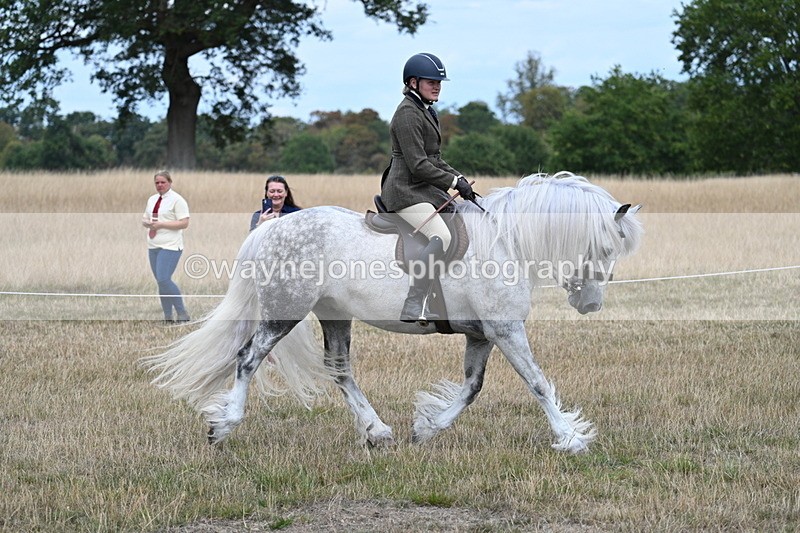 WJ7_4771 - Class 12 Ridden Cob