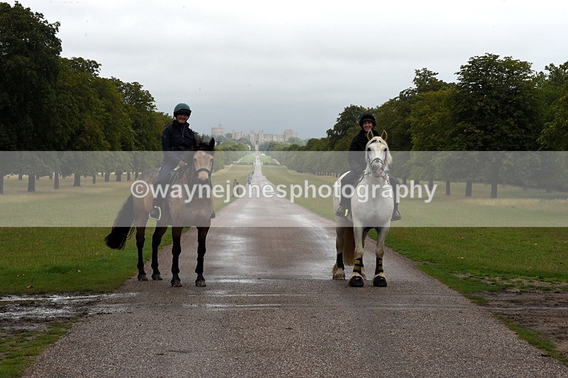 TT3_8306 - Time at Crossing 10:16 to 11:38