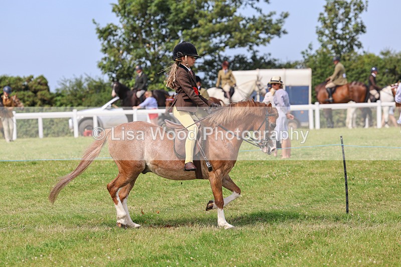 IMG_3704 - M & M Ridden Championship