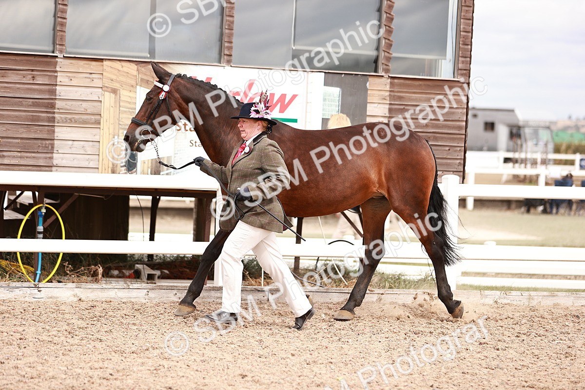 SBM_16336 - Class 413 - Best Condition - Adult