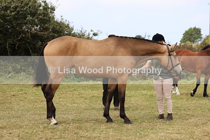 3E7A4418 - Class 15: Three Year Olds