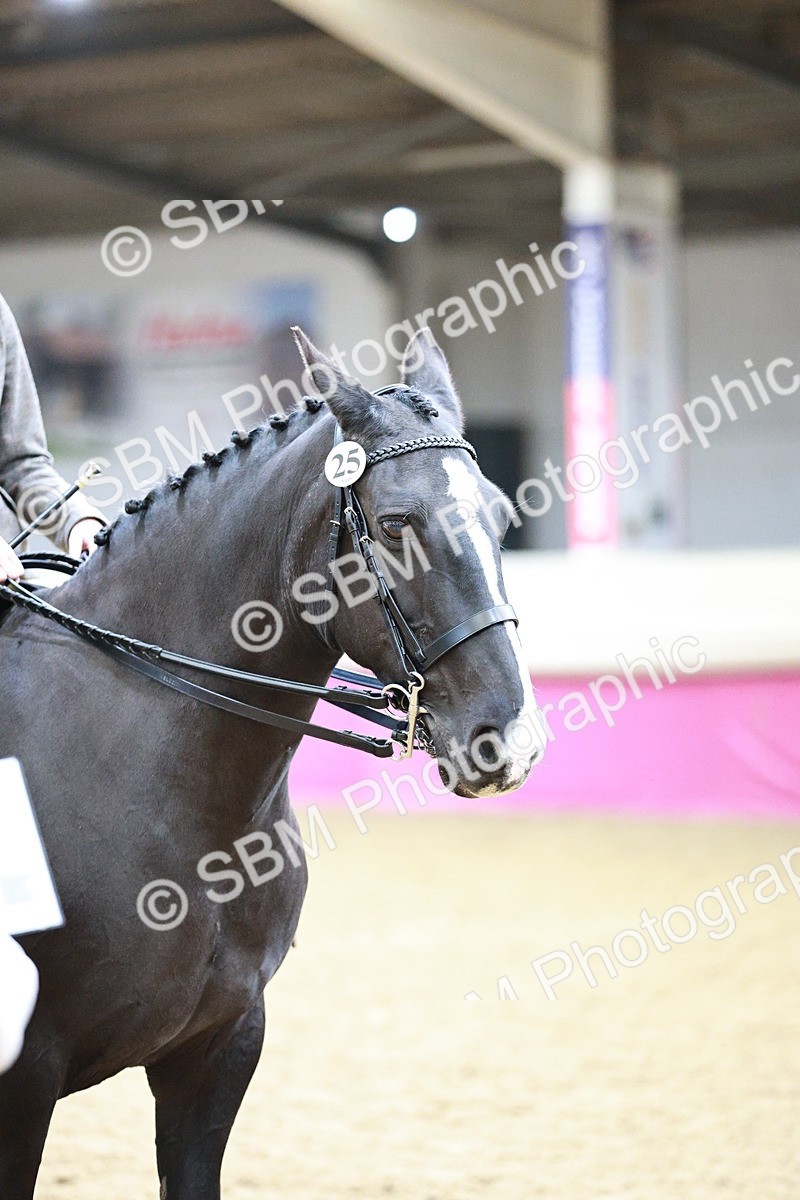 SBM_02250 - Class 4A - Area Ridden Diamond