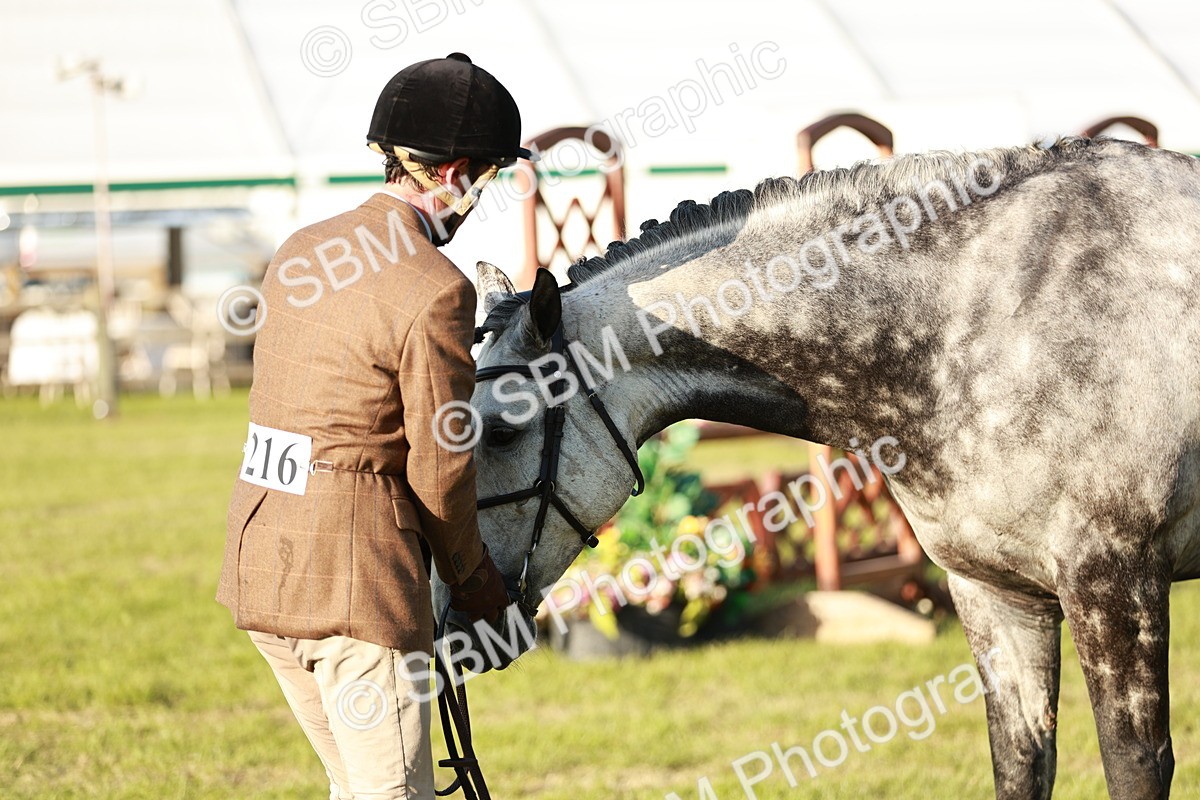 SBM_20524 - Class 117-119 - Sport Horse Working Hunter