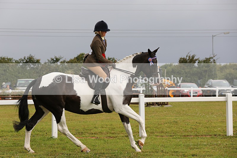 1X9A2956 - Class 25: Ridden Plaited Coloured Horse