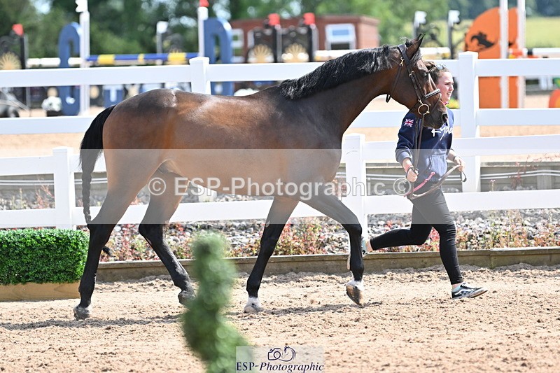 240717A-153719-02925 - Trot Up 3pm to 4pm