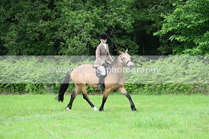 WJ7_2563 - Class 12A Coloured Class