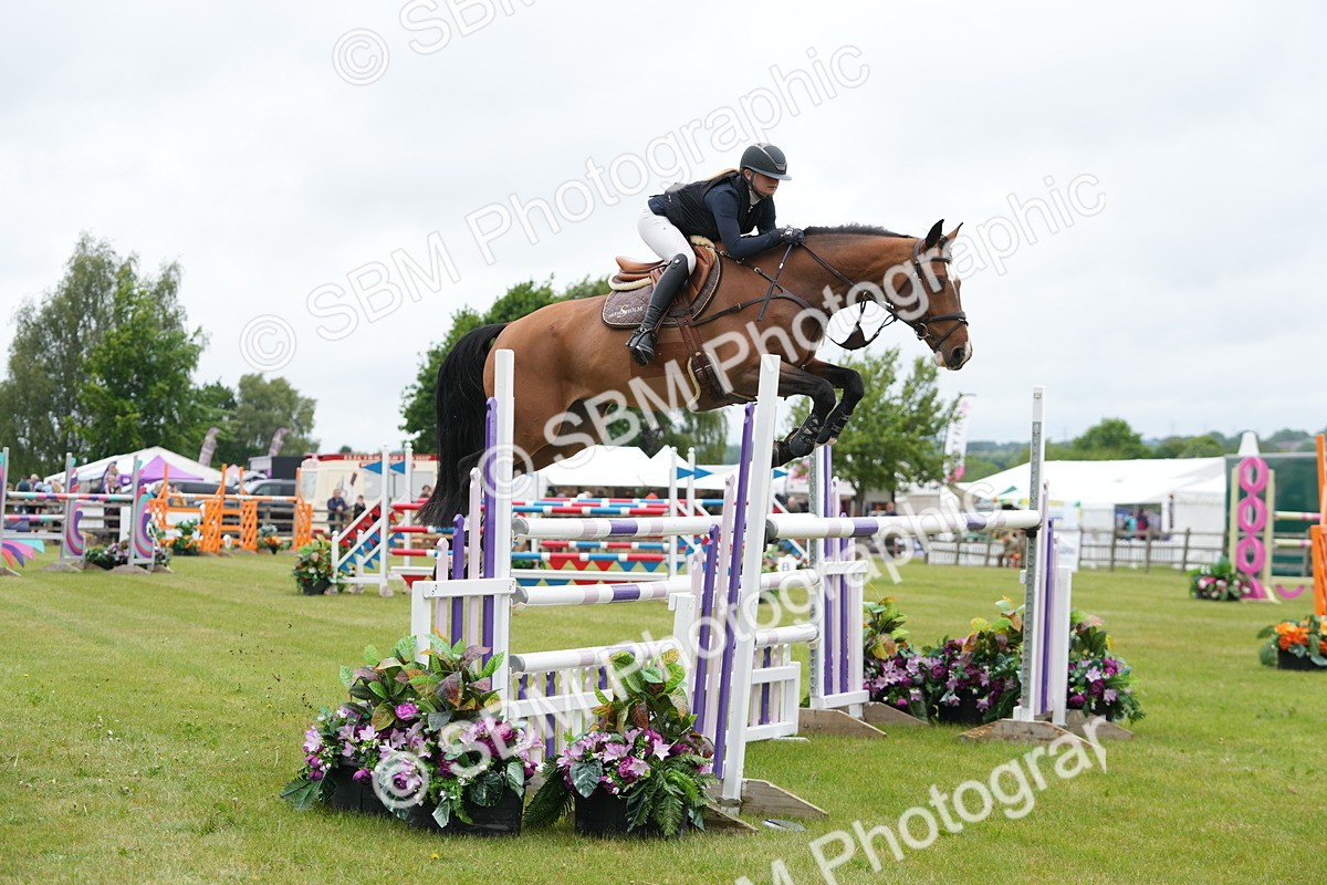 SBM_02997 - Class 201 - British Horse Feeds Speedi Beet Horse of the Year Show Grade  C