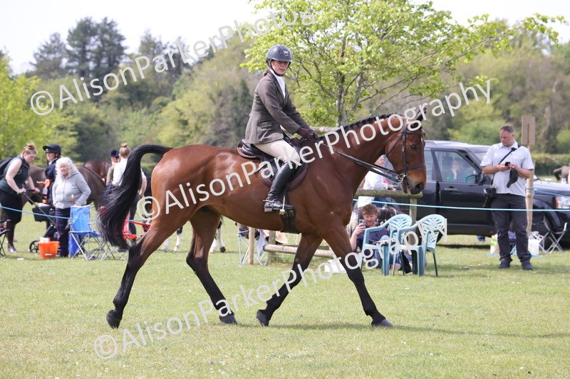 20260426-4307 - Class 34 - Best Riding Horse Over 14.2hh