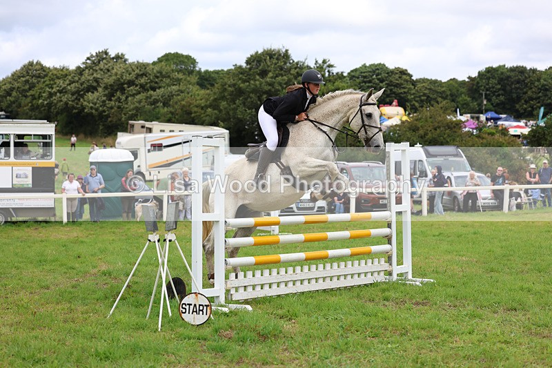 3E7A7093 - Class 5: Senior British Novice/90cm open