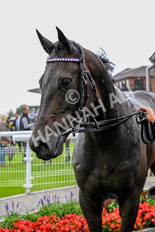 150725-Race 3-Time Tells All-0397